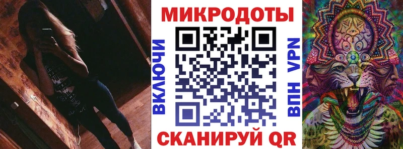 Псилоцибиновые грибы Psilocybe Энем